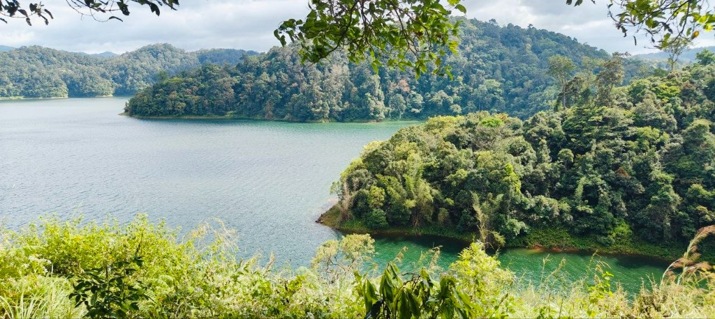 Emerald Green Waters of Moozhiyar Reservoir