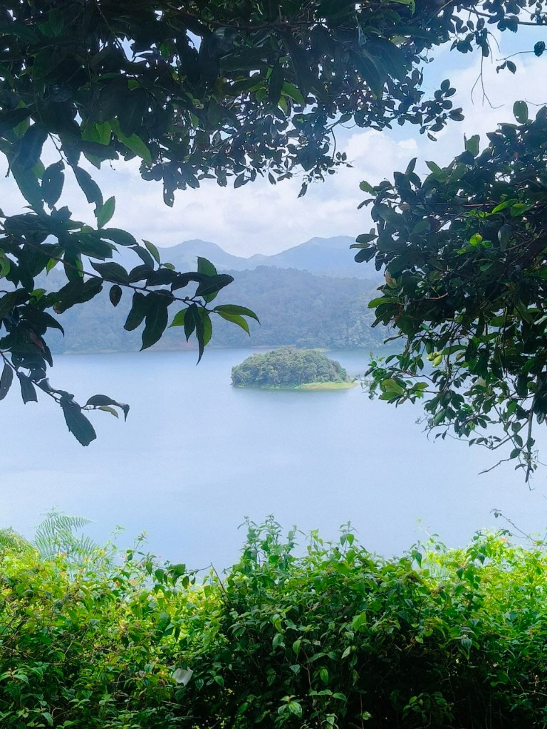 Canopy-Framed Mountain Lake at Angamoozhy