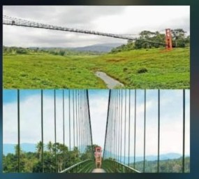 Ayyappankovil Hanging Bridge Periyar River