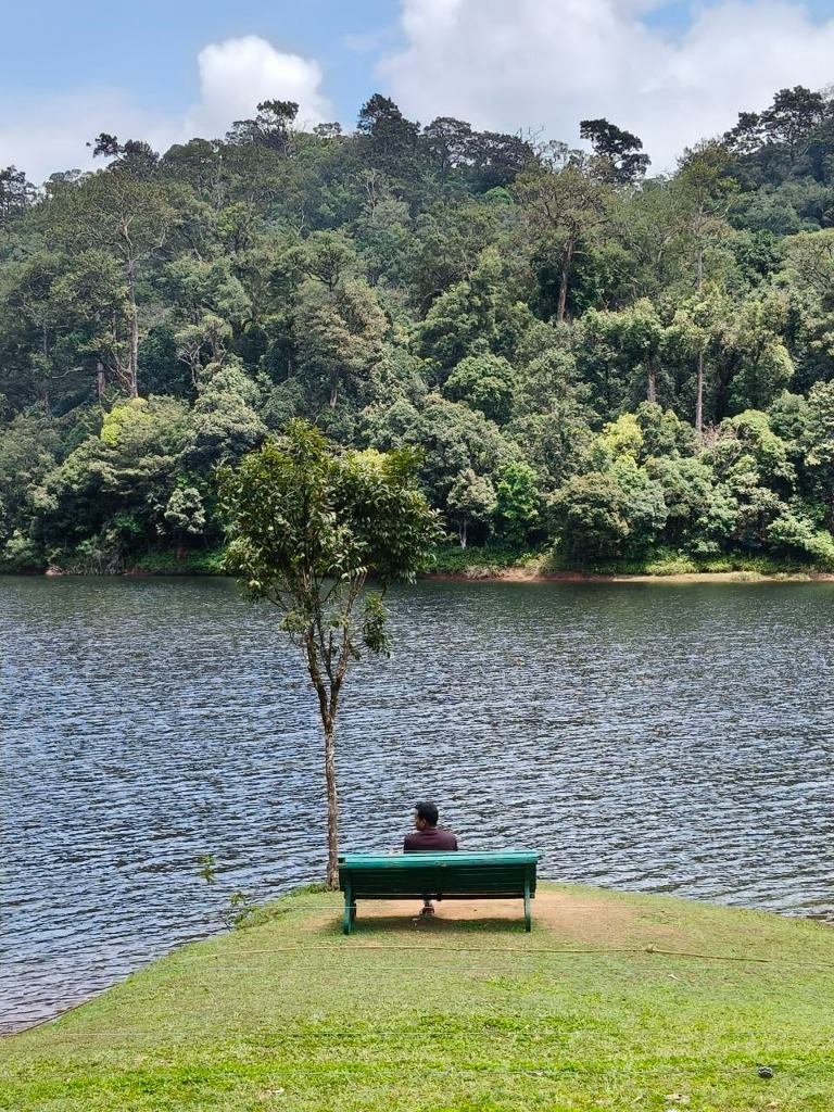 Guest sitting peacefully by Gavi lake facing the green forest