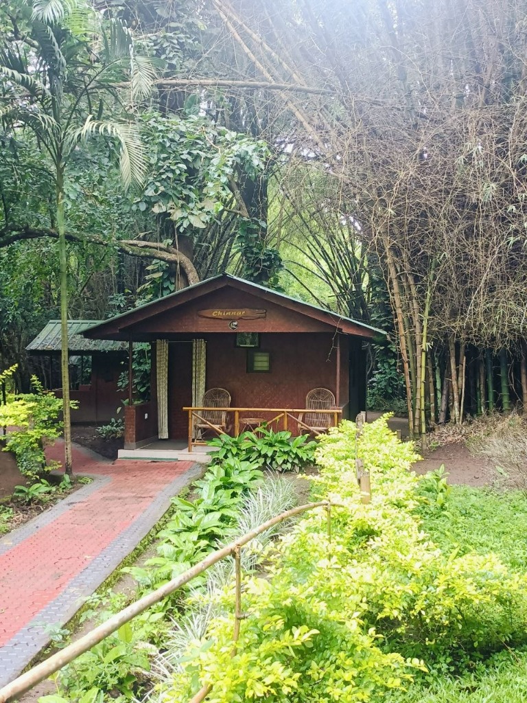 Chinnar Jungle Garden Cottage Stay amidst Nature