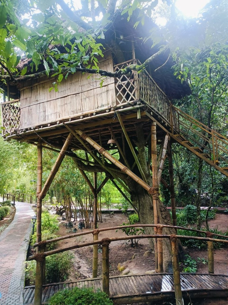 Elevated Bamboo Forest Treehouse Stay Thekkady