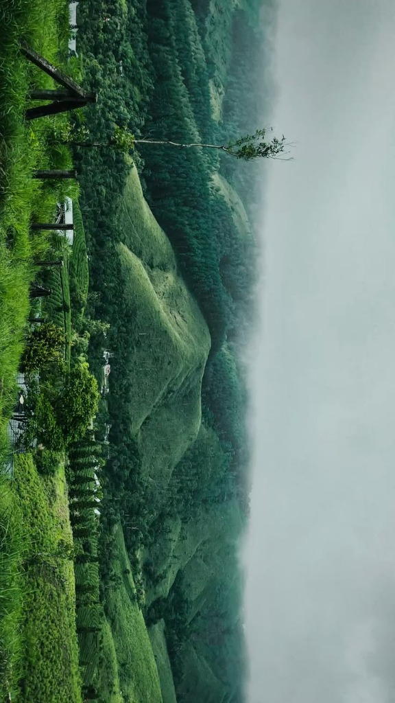 Wagamon Meadows Mount Motta Kunnu